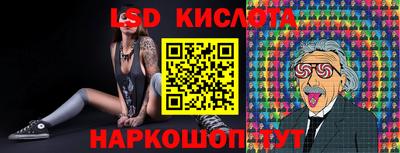 винт Шахты