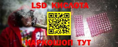 винт Шахты