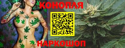 винт Шахты