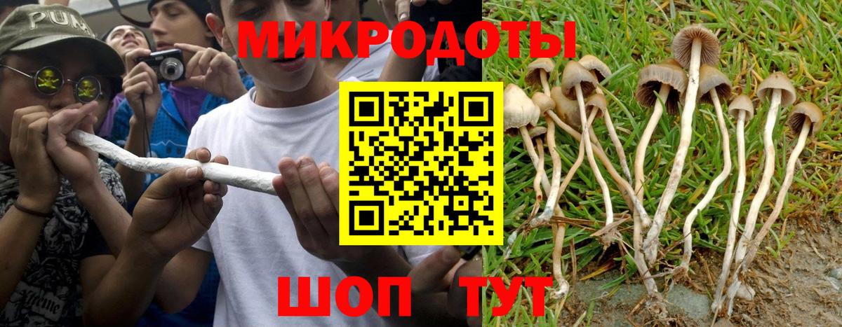 Галлюциногенные грибы GOLDEN TEACHER Городец