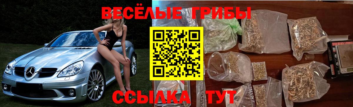 Городец  Псилоцибиновые грибы мухоморы  Вход с VPN 